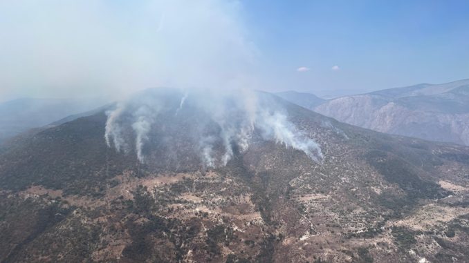 coesfo_atiende_incendio_tepelmeme_villa_de_morelos_1