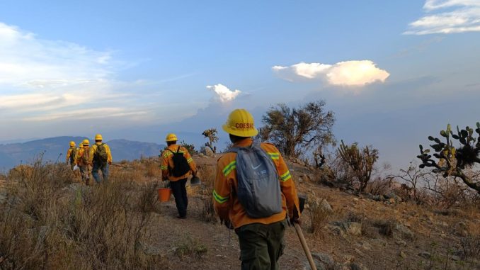 coesfo_controla_incendio_santa_maria_tecomavaca_1