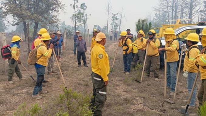 incendios_forestales_oaxaca_coesfo_1