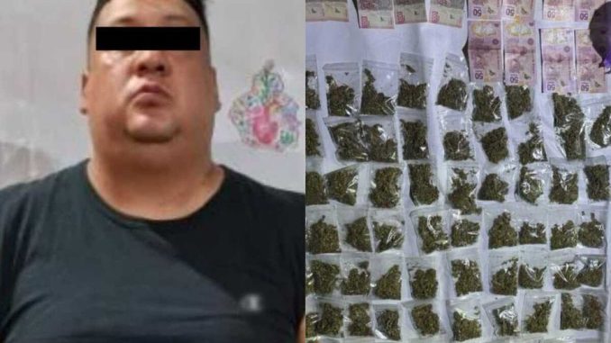 el_mambo_lider_goteras_ciudad_de_mexico