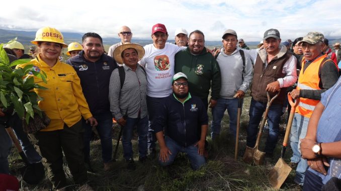 mega_tequio_reforestacion_mixteca_2025_1