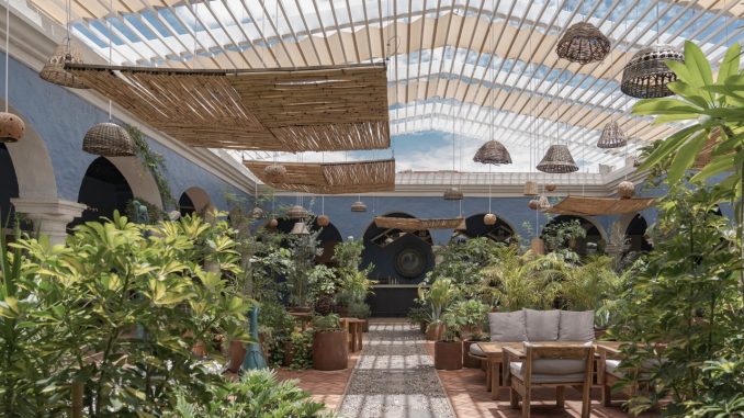 centro_cultural_de_mezcal_oaxaca_dna_paris_1